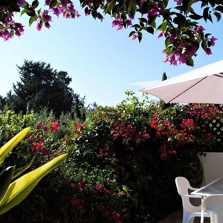 Townhouse In Paradise Gardens Paphos Ngoại thất bức ảnh