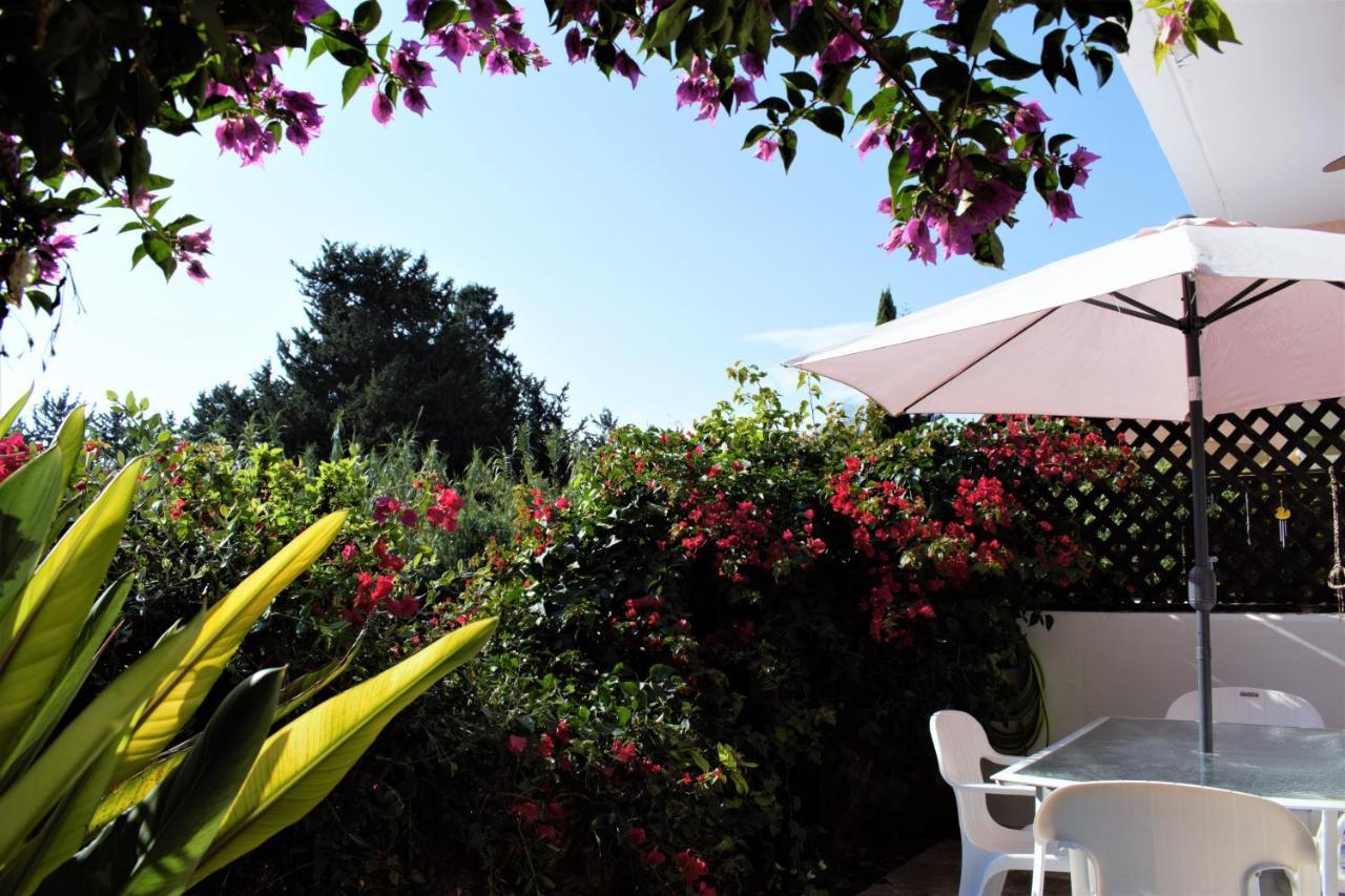 Townhouse In Paradise Gardens Paphos Ngoại thất bức ảnh